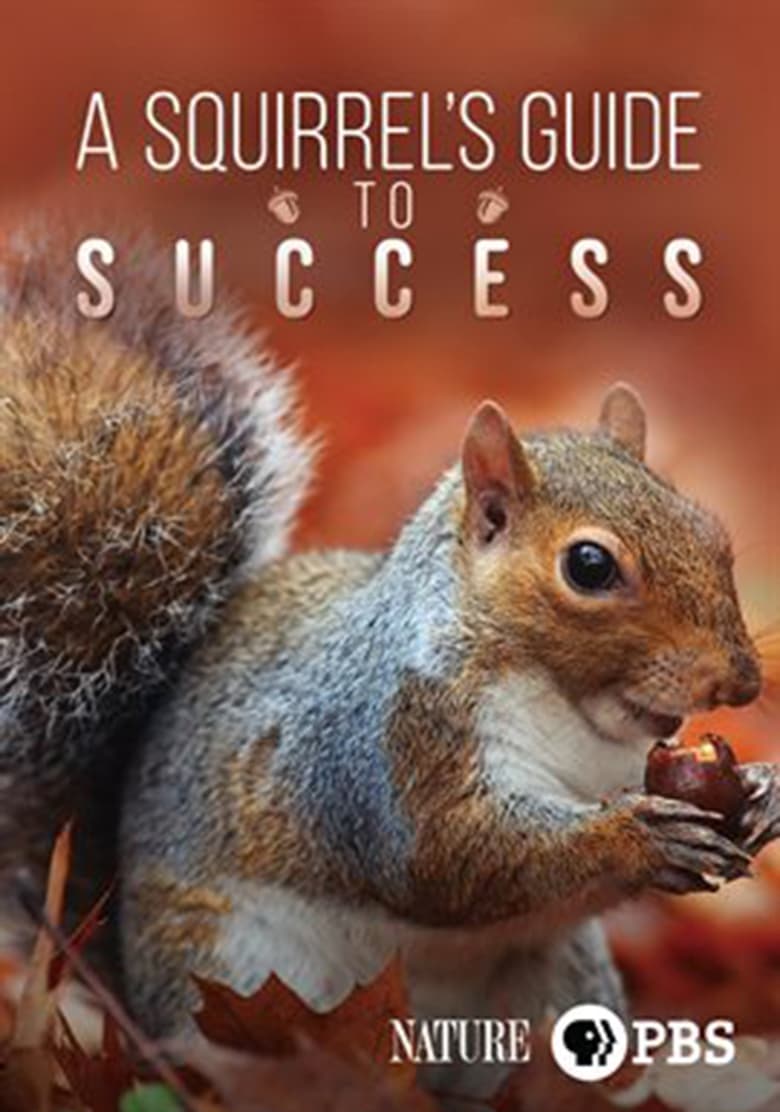 Poster of A Squirrel's Guide to Success