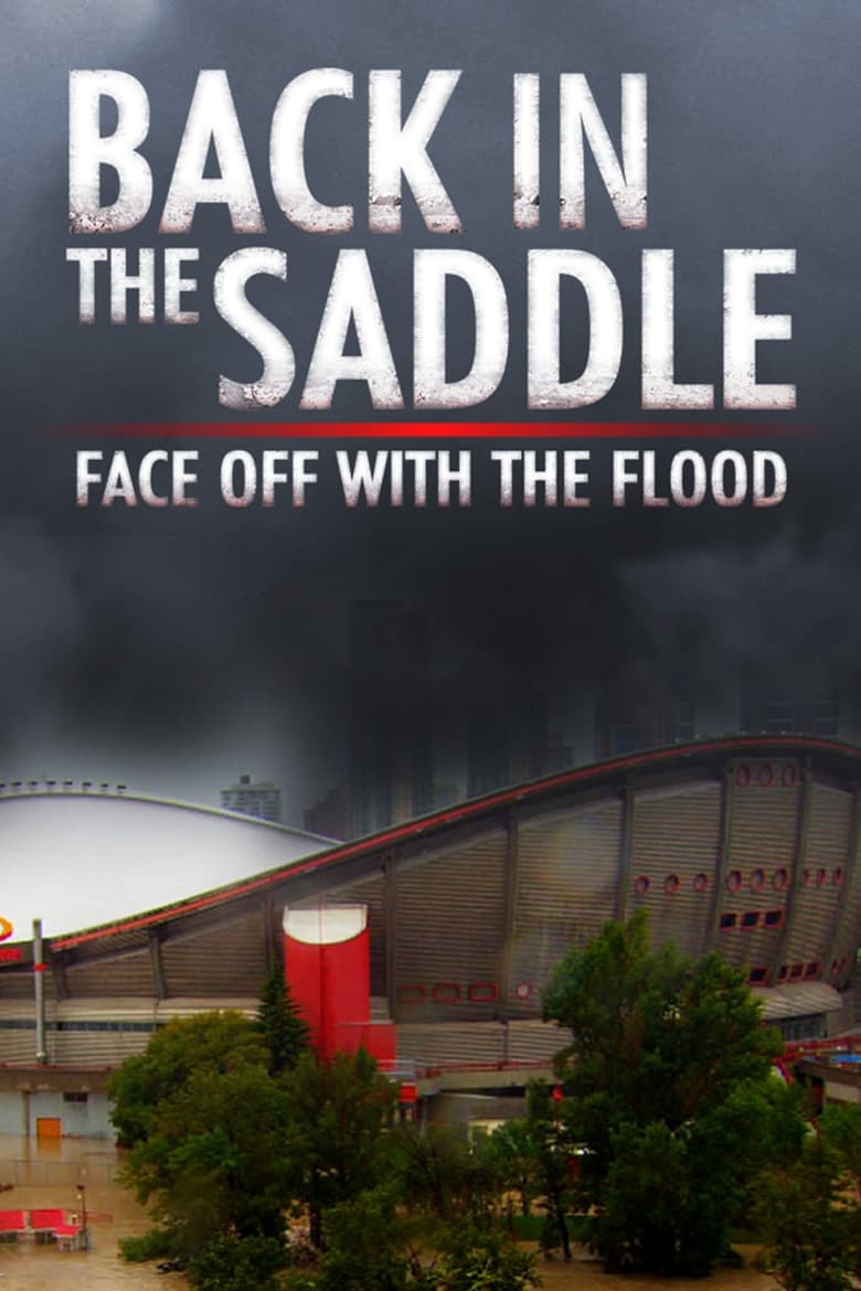 Poster of Back in the Saddle: Face Off with the Flood