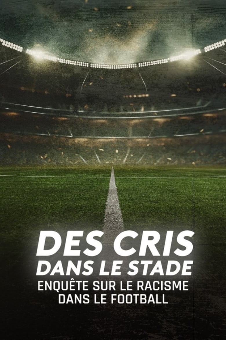 Poster of Des cris dans le stade, enquête sur le racisme dans le football