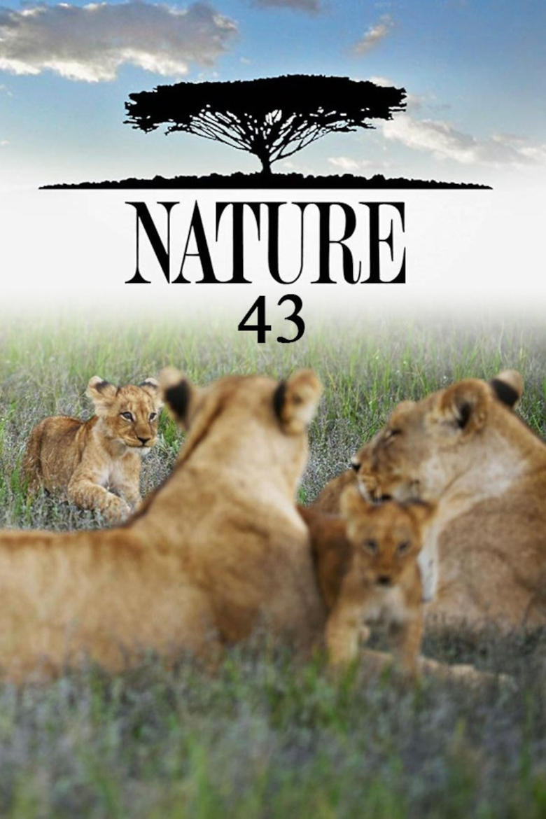 Poster of Cast and Crew in Nature - Season 43 - Episode 5 - Attenborough’s Life Journey