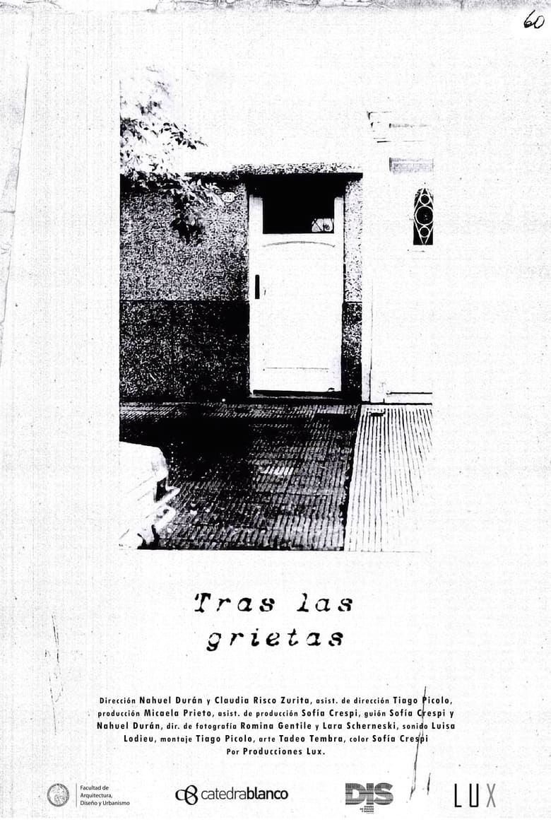 Poster of Through the Cracks