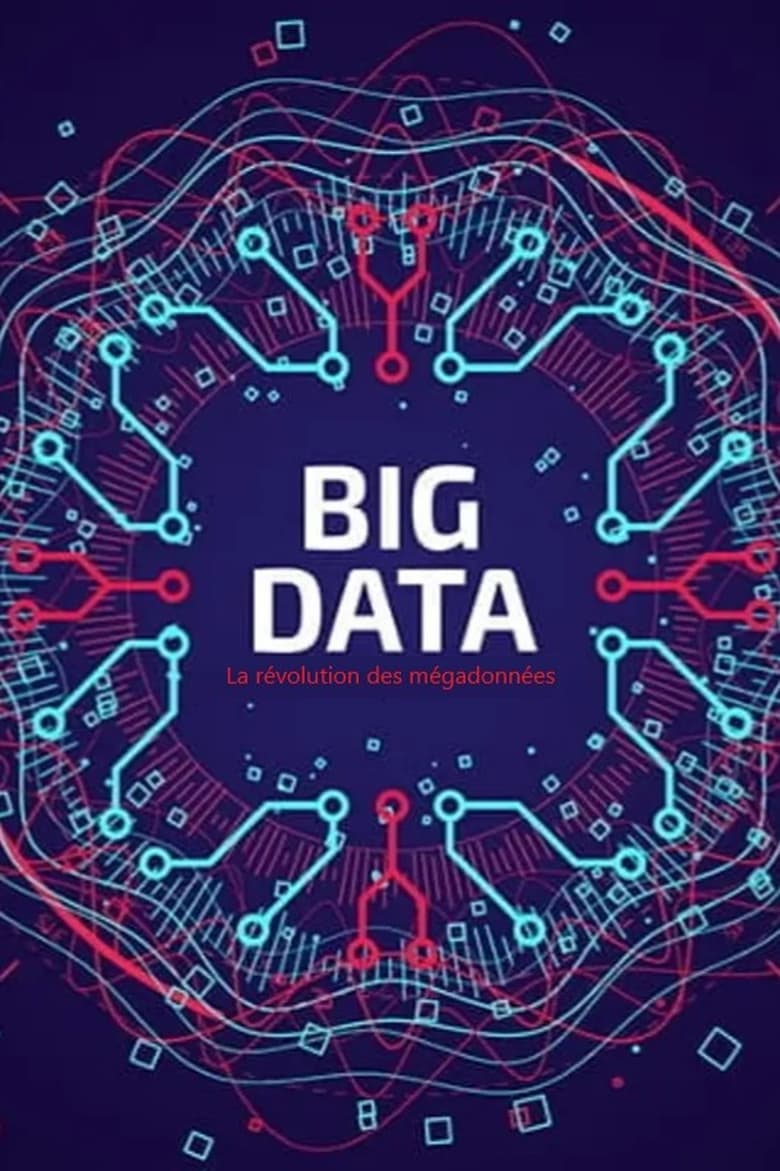 Poster of Big Data - La révolution des mégadonnées