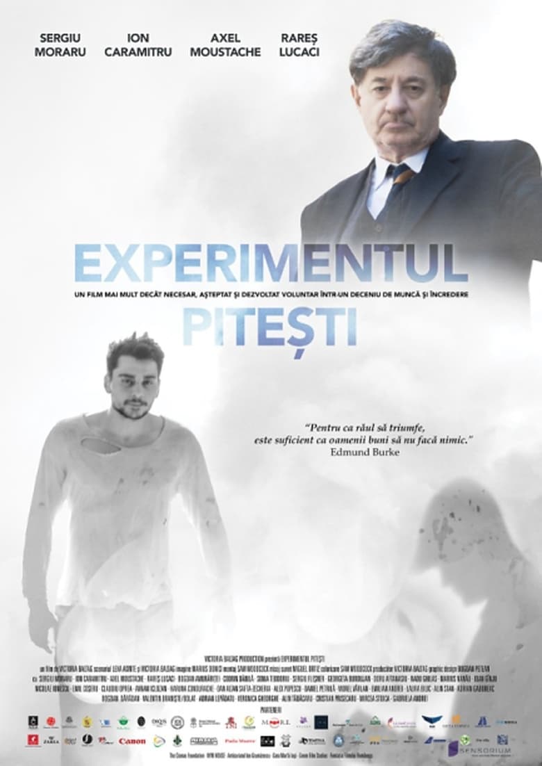 Poster of The Pitești Experiment