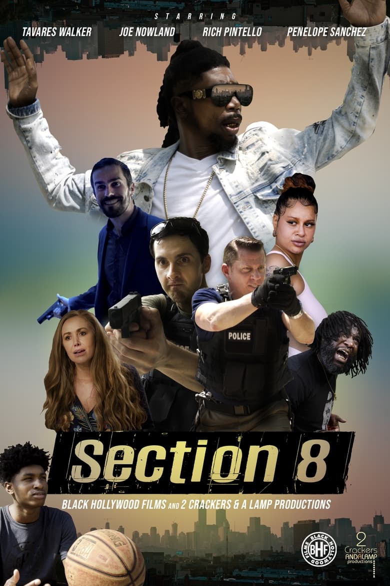 Poster of Section 8