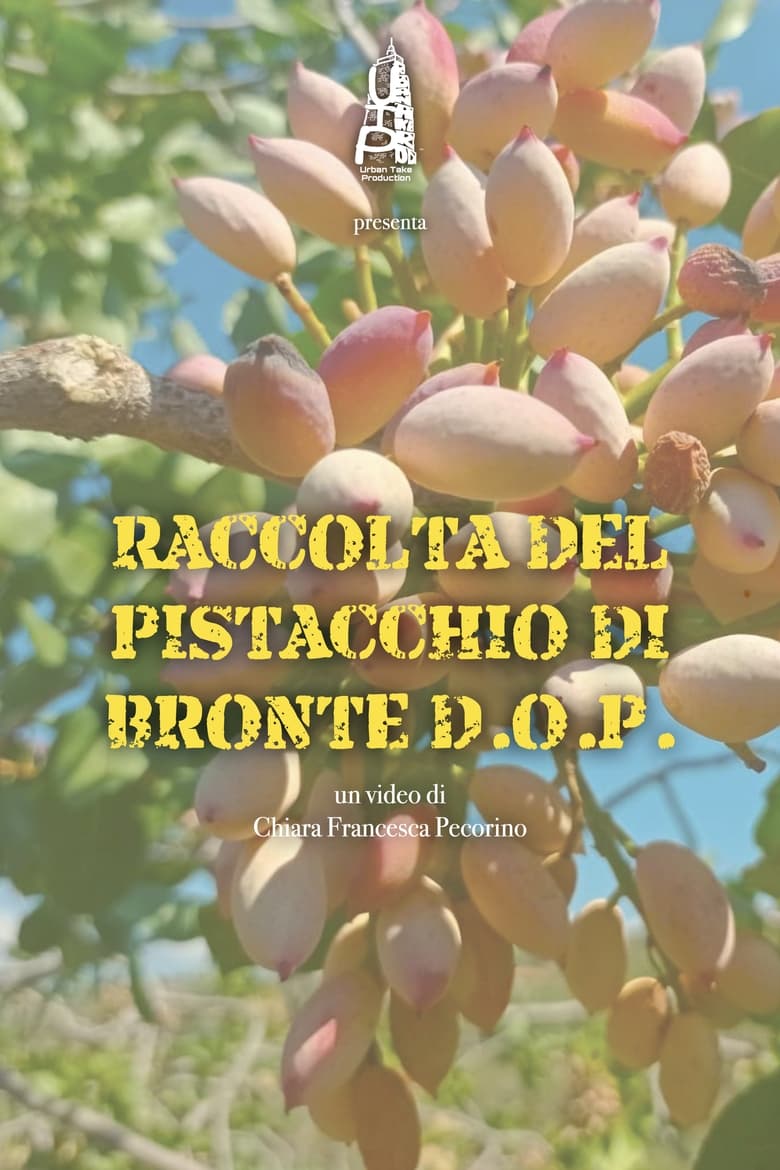 Poster of Raccolta del pistacchio di Bronte D.O.P.