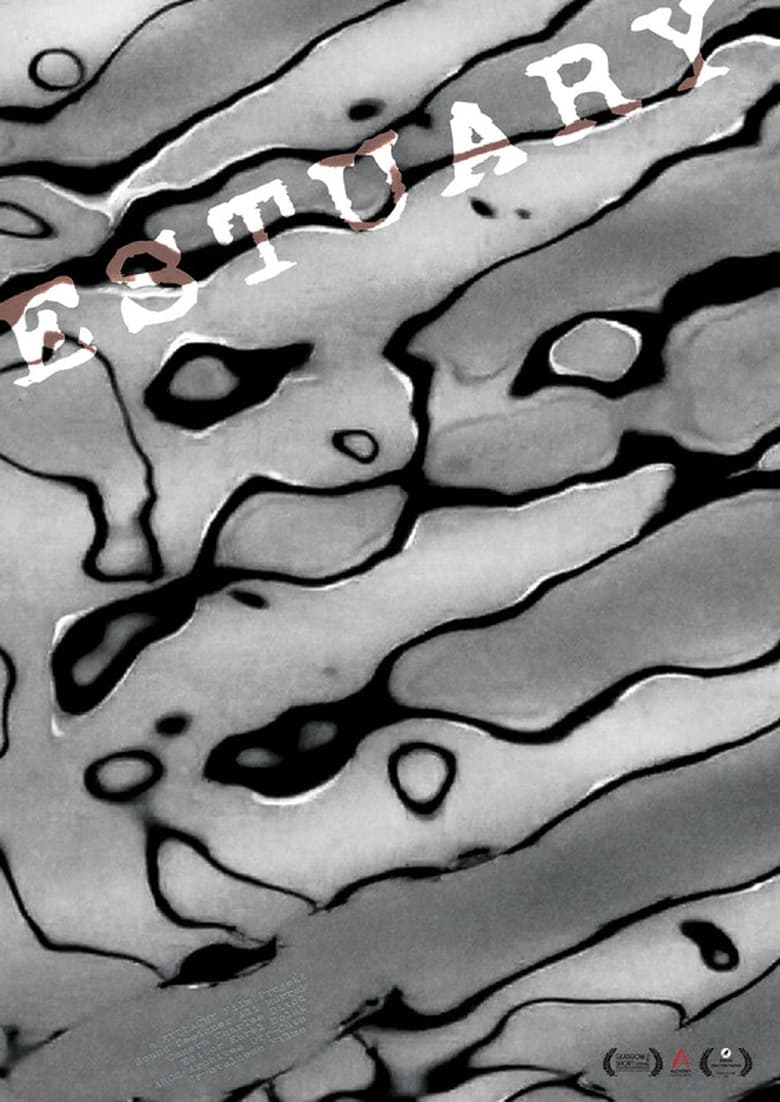 Poster of Estuary