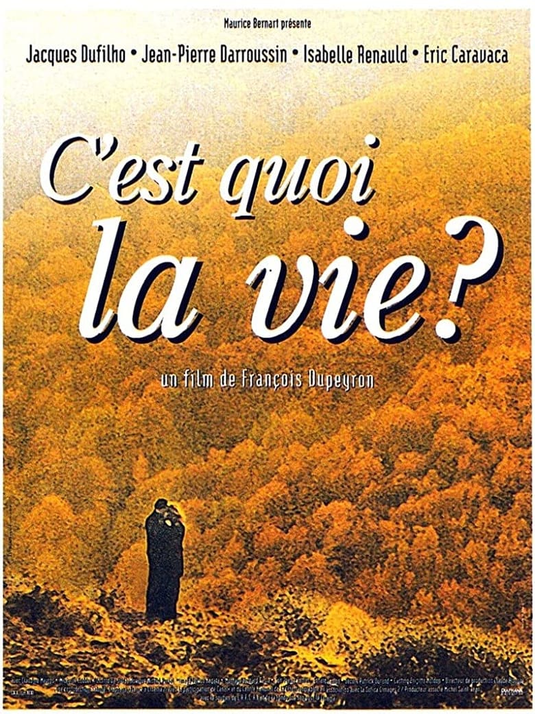 Poster of C'est quoi la vie ?