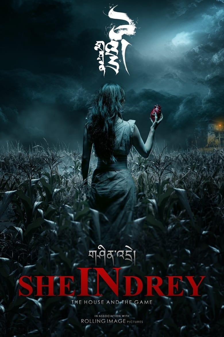 Poster of SHEinDREY