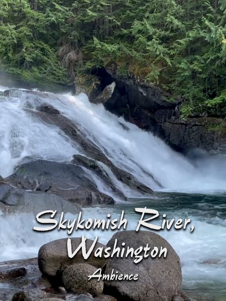 Poster of Skykomish River Ambience