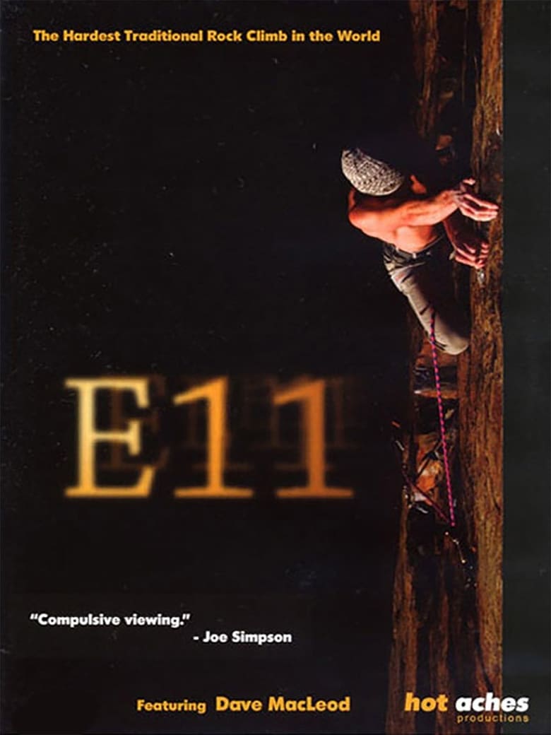 Poster of E11