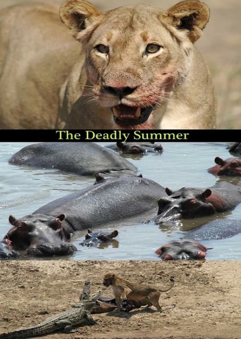 Poster of Deadly Summer