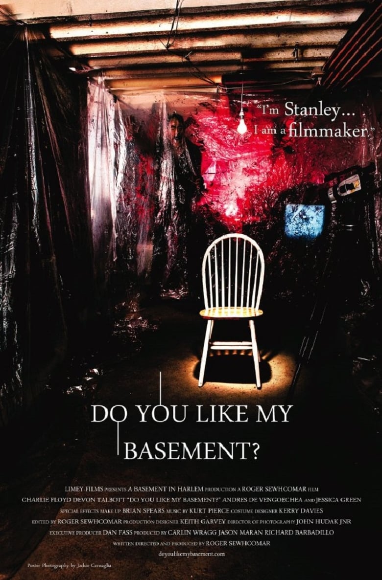 Poster of Do You Like My Basement?