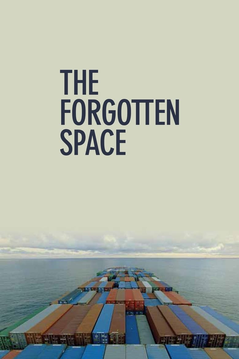 Poster of The Forgotten Space