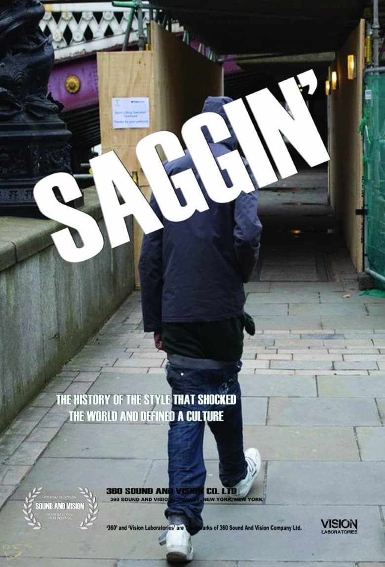 Poster of Saggin'