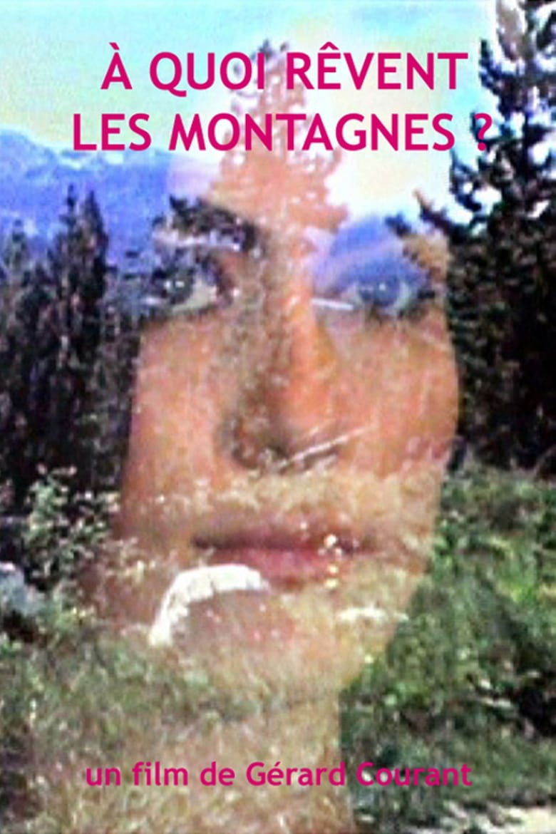 Poster of À quoi rêvent les montagnes?