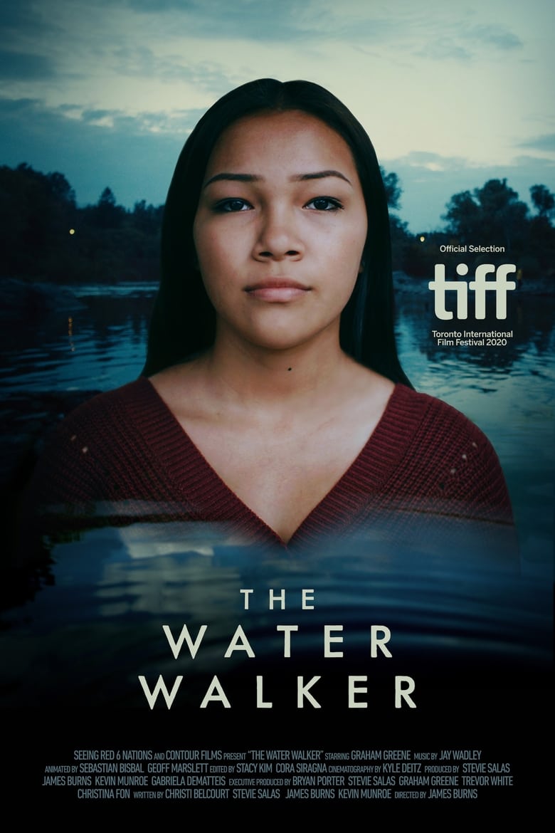 Poster of The Water Walker