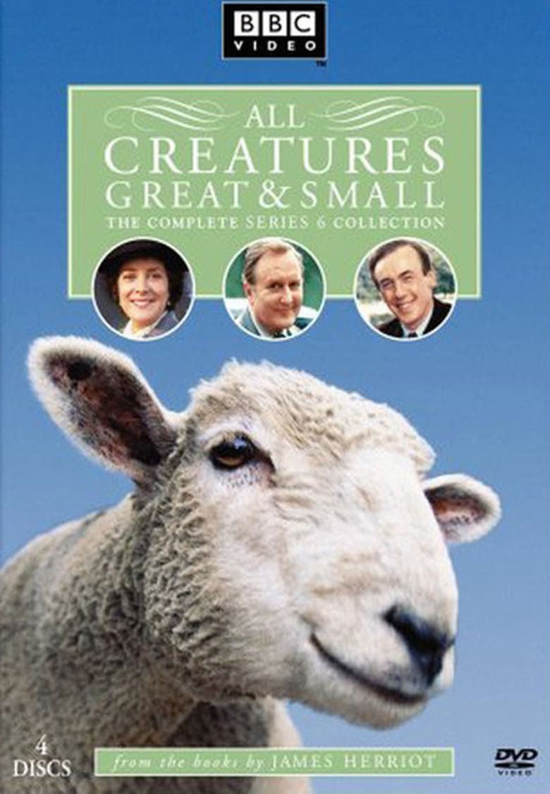 Poster of Episodes in All Creatures Great And Small - Season 6 - Season 6