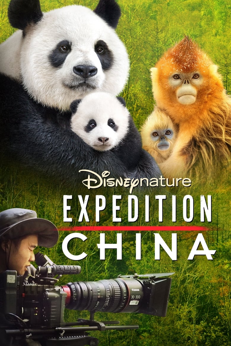 Poster of Expedition China