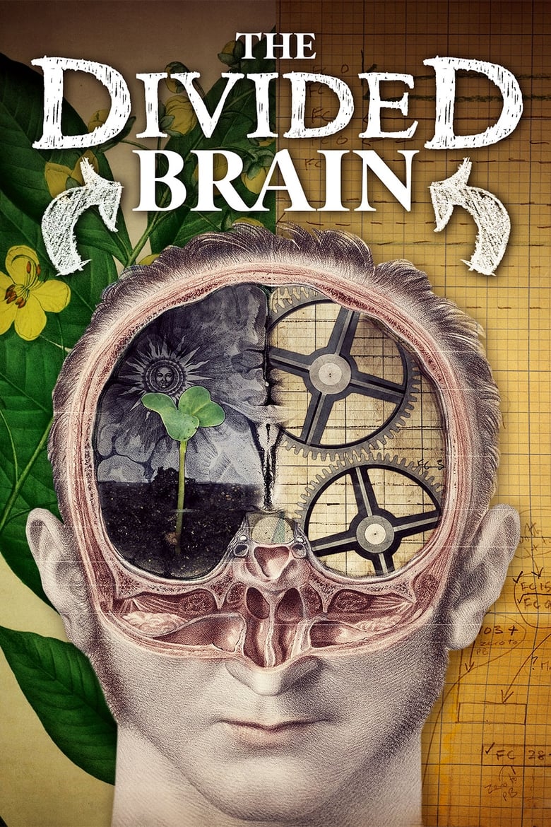 Poster of The Divided Brain