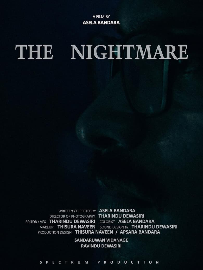 Poster of The Nightmare