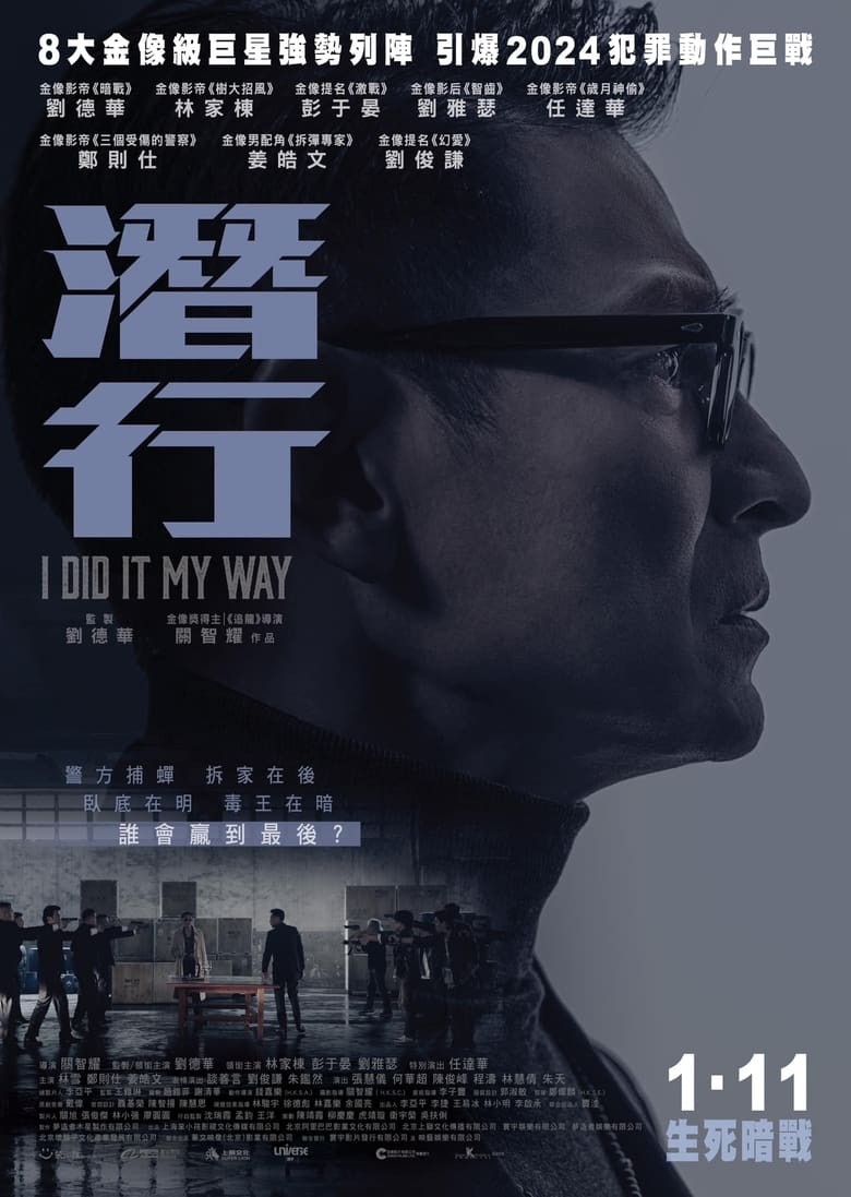 Poster of I Did It My Way