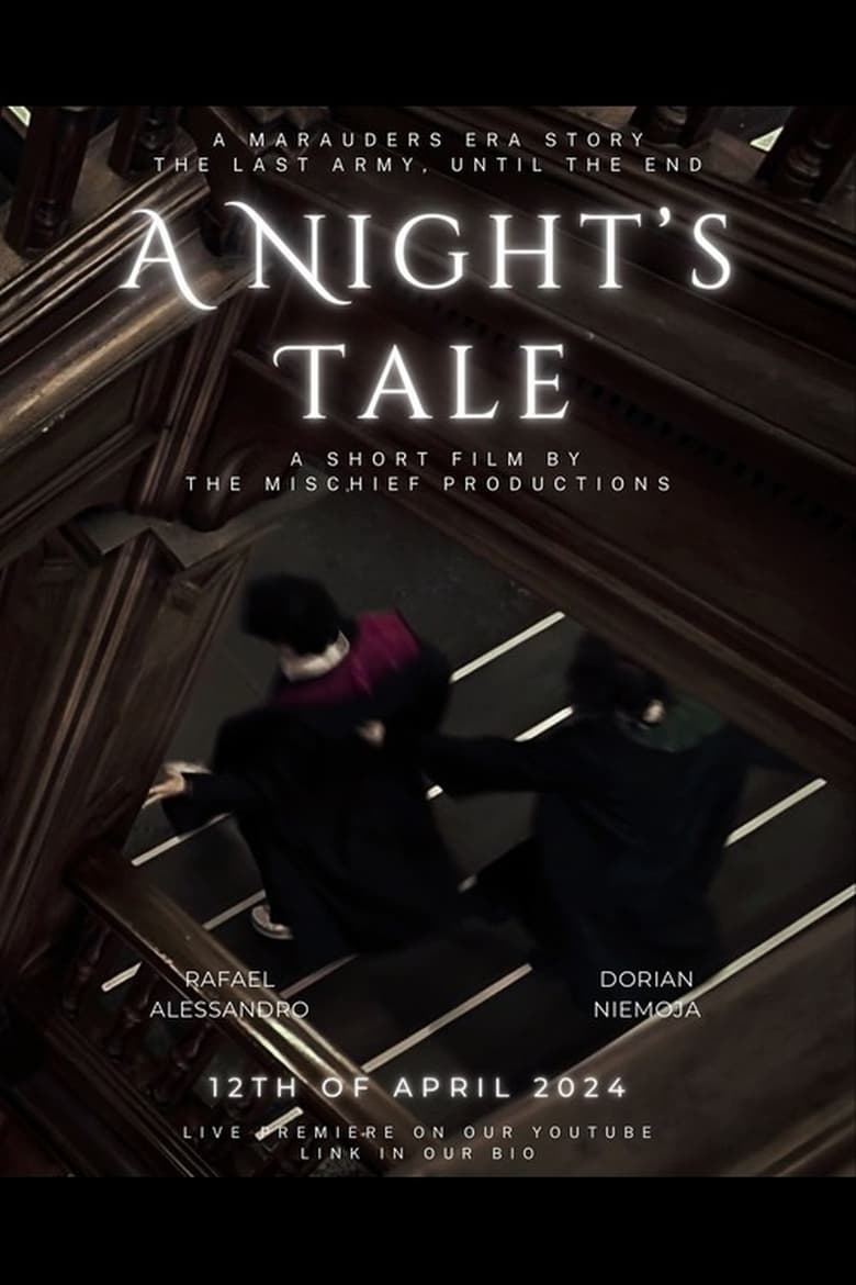 Poster of A Night's Tale