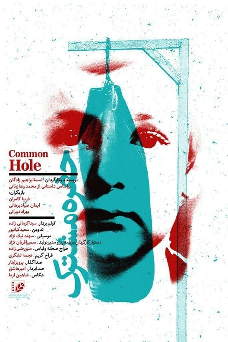 Poster of Common Hole