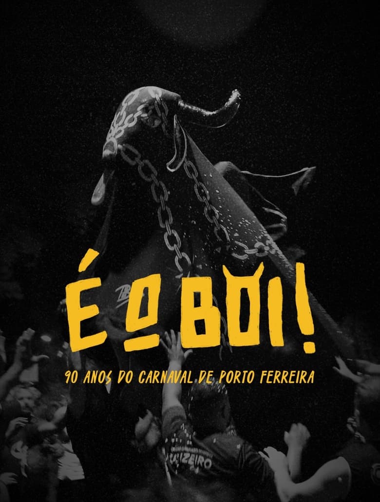 Poster of É o Boi