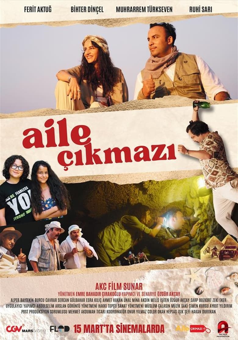 Poster of Aile Çıkmazı