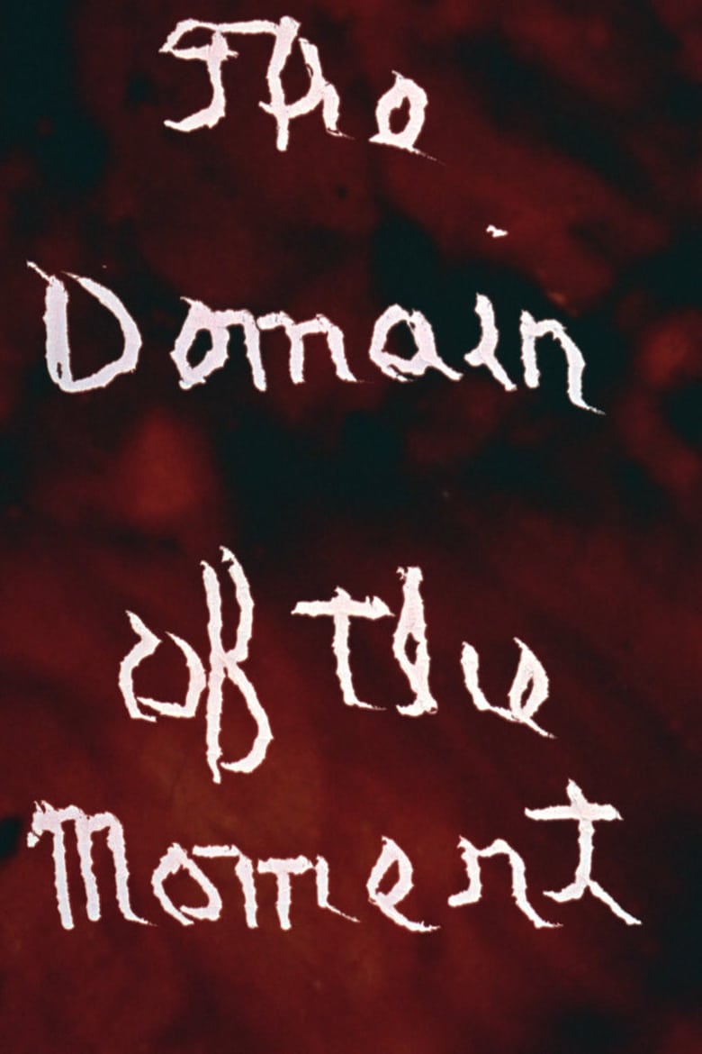 Poster of The Domain of the Moment