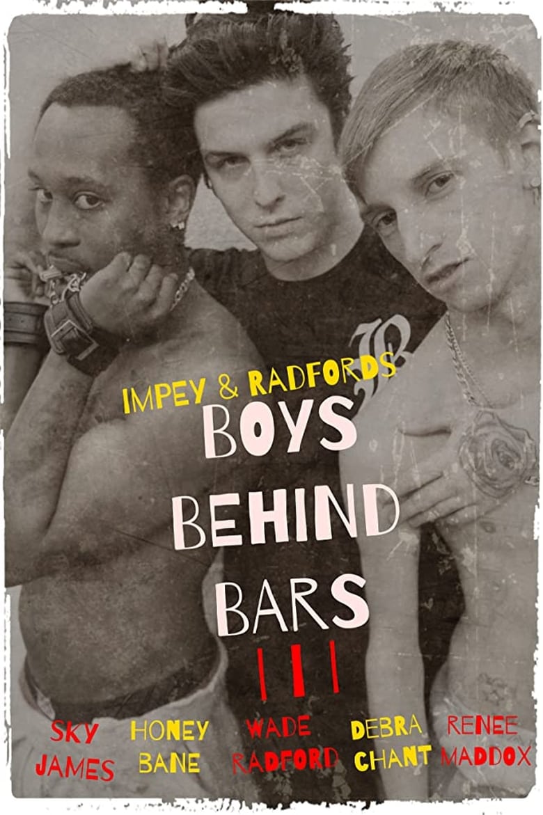 Poster of Boys Behind Bars 3