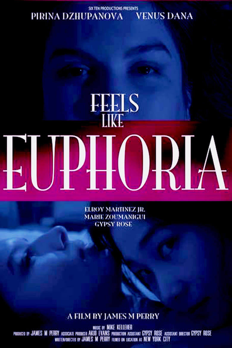 Poster of Feels Like Euphoria