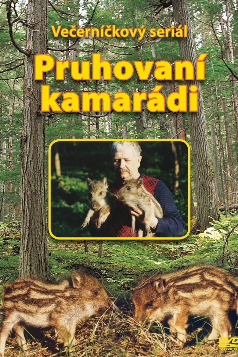 Poster of Pruhovaní kamarádi