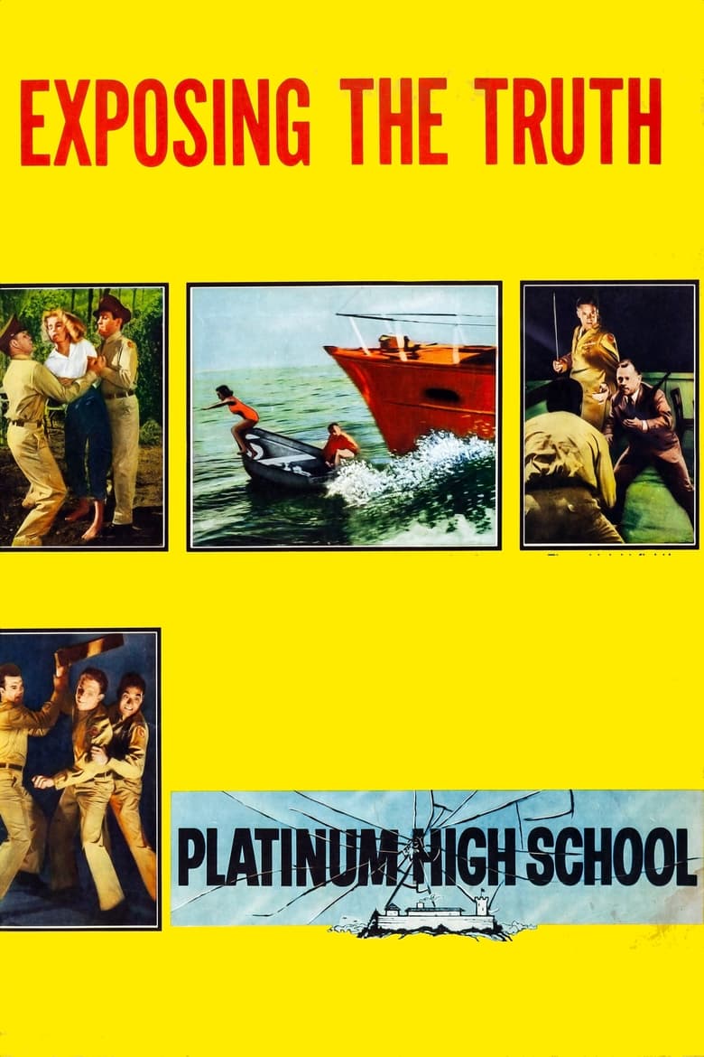 Poster of Platinum High School