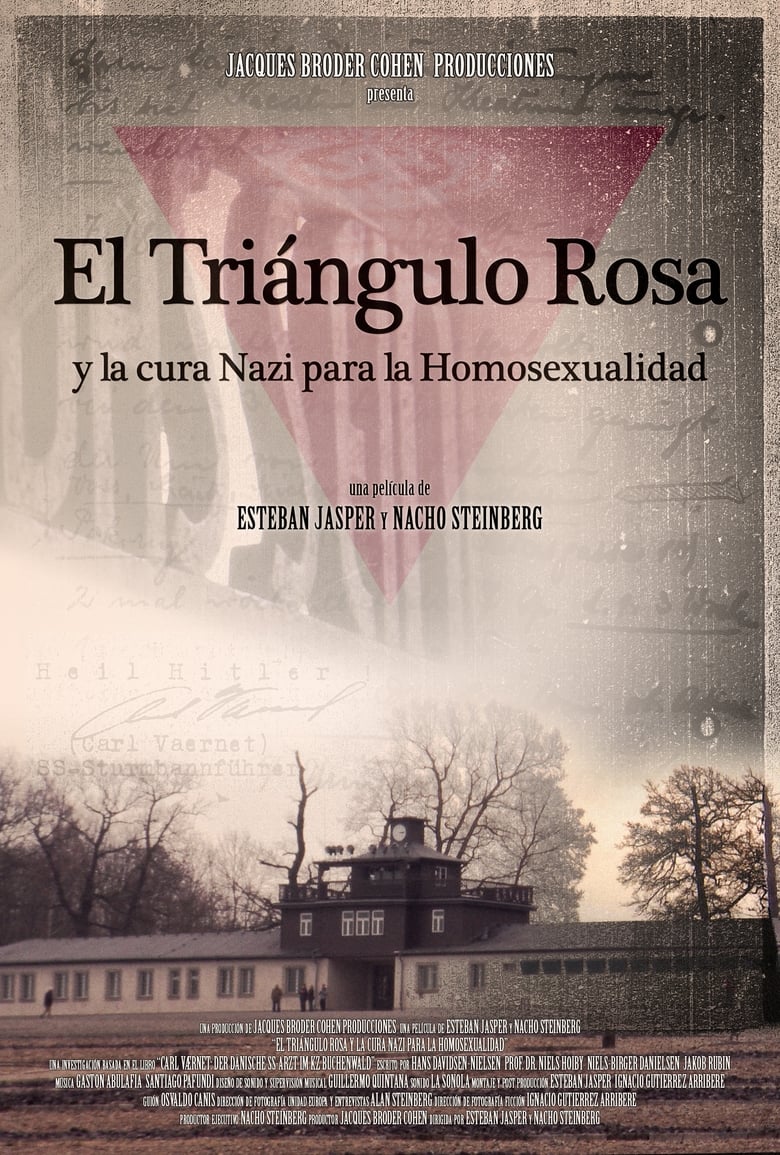 Poster of The Pink Triangle and the Nazi Cure for Homosexuality