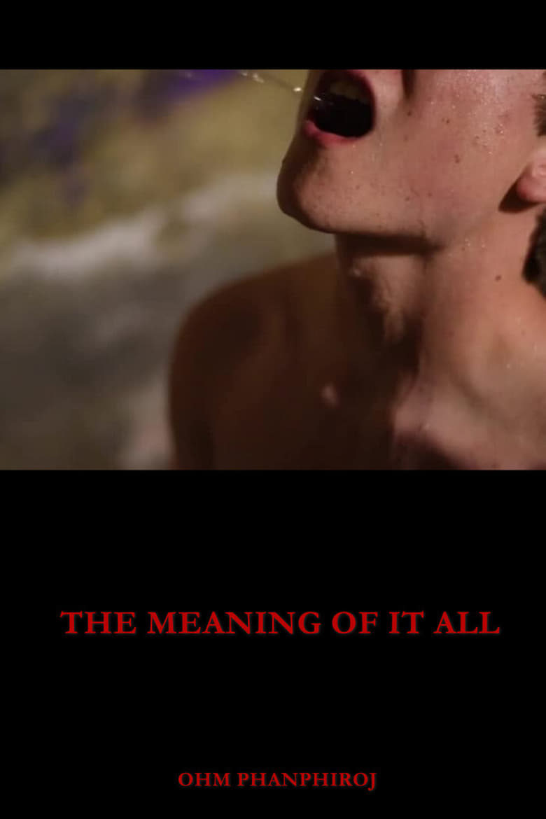 Poster of The Meaning of It All