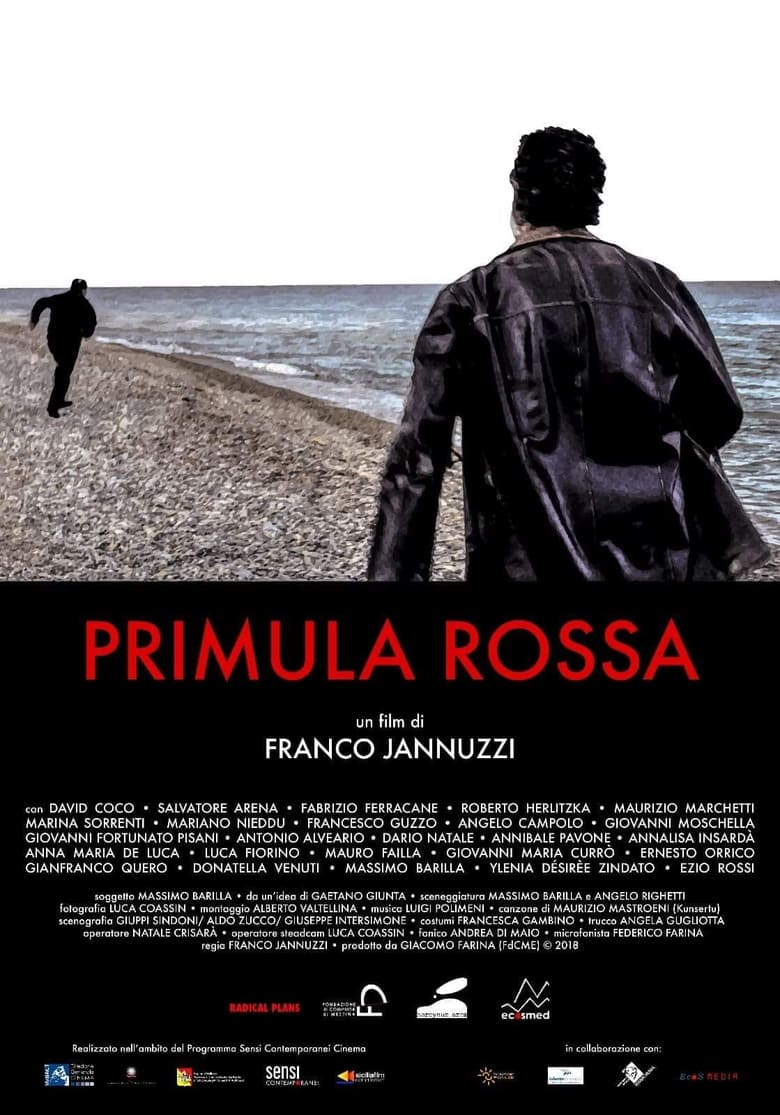 Poster of Primula Rossa