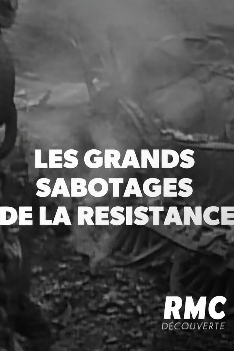 Poster of Les Grands sabotages de la résistance