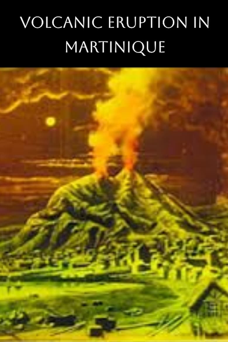 Poster of The Terrible Eruption of Mount Pelee and Destruction of St. Pierre, Martinique