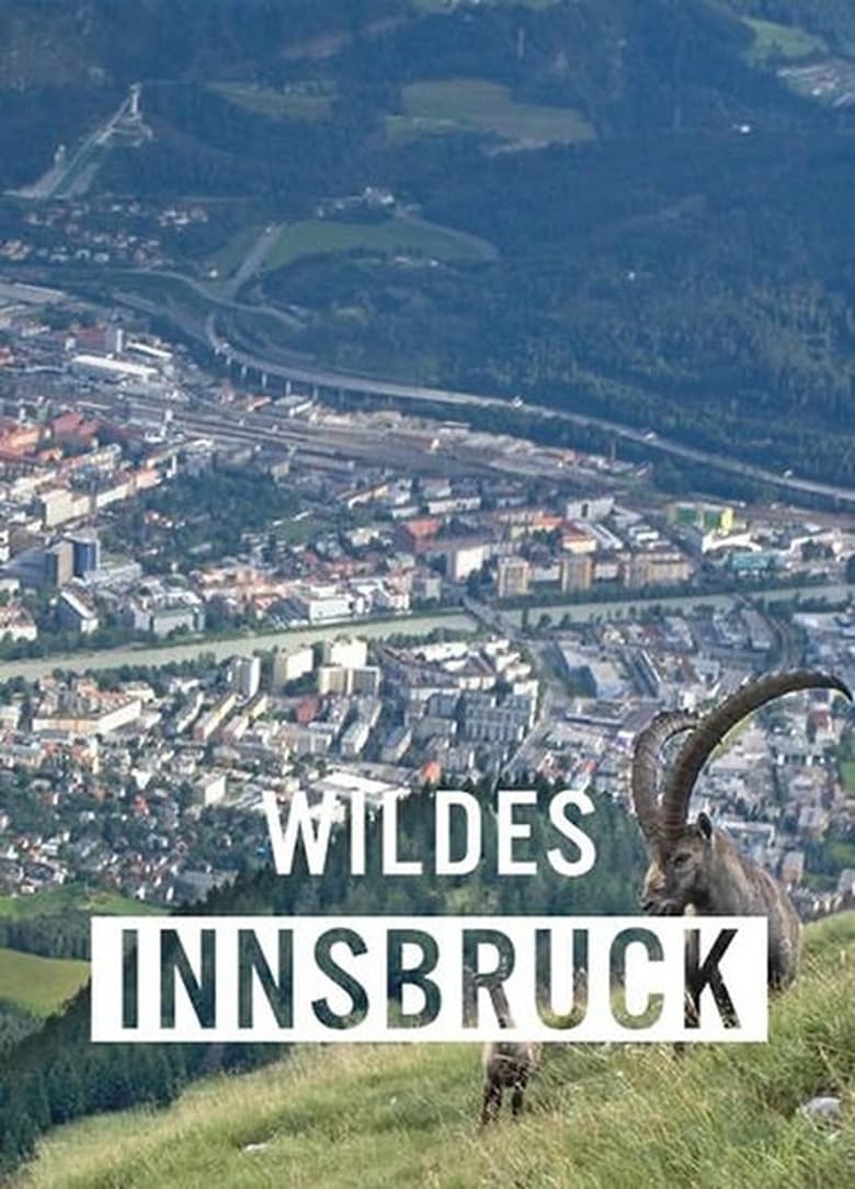 Poster of Wildes Innsbruck: Zwischen Moderne und alpiner Wildnis