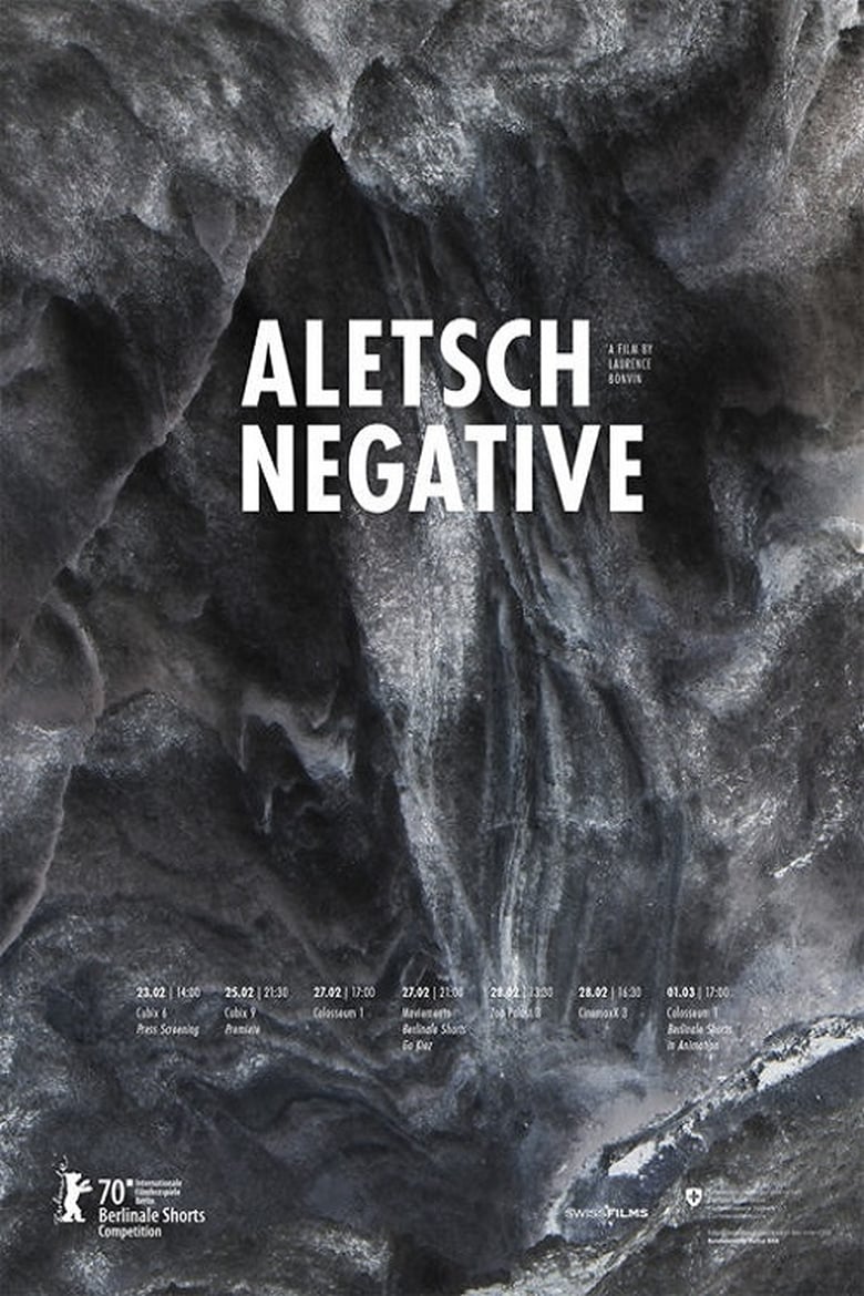 Poster of Aletsch Negative