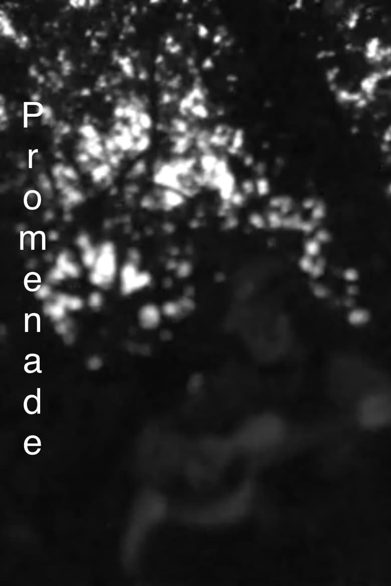 Poster of Promenade