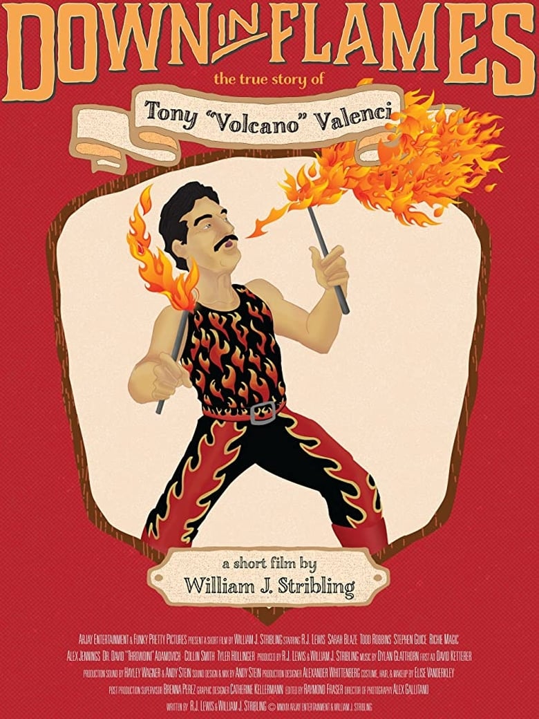 Poster of Down in Flames: The True Story of Tony Volcano Valenci