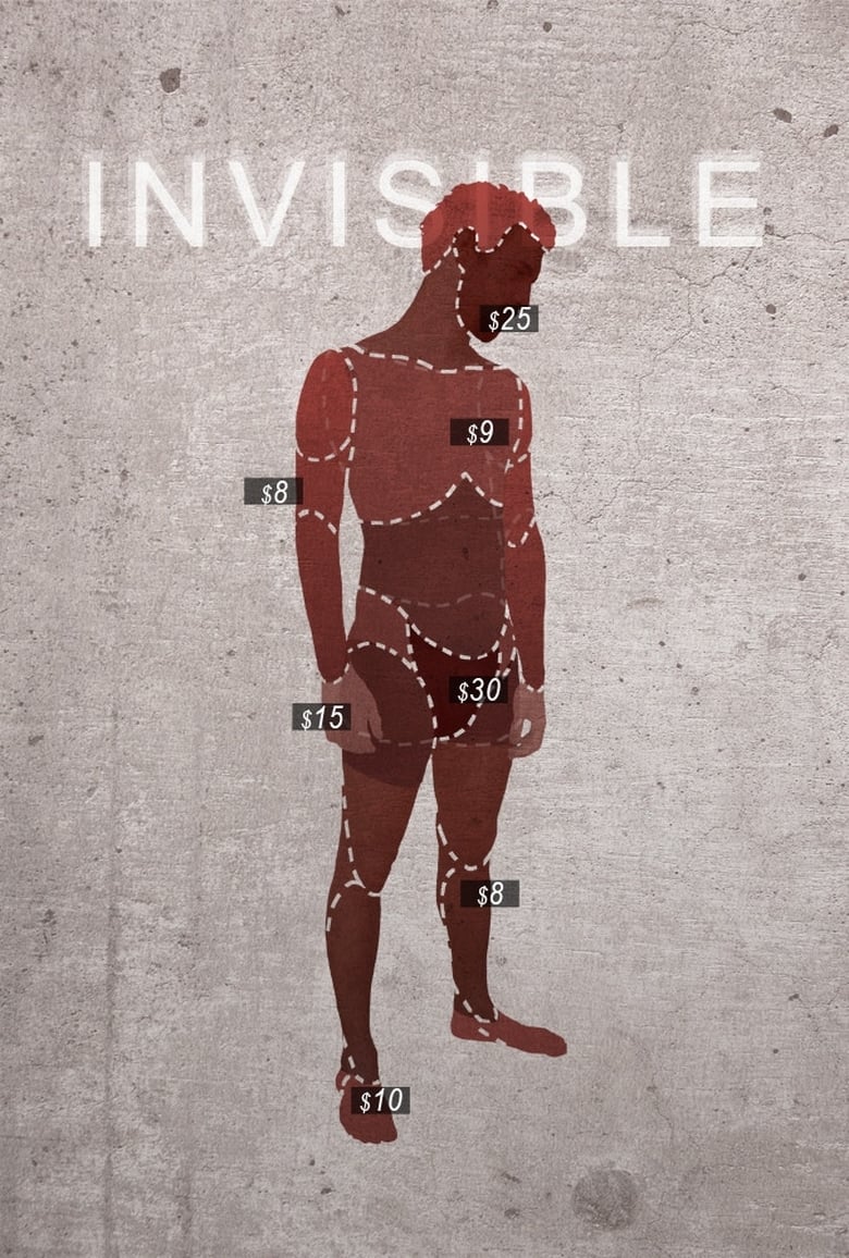 Poster of Invisible