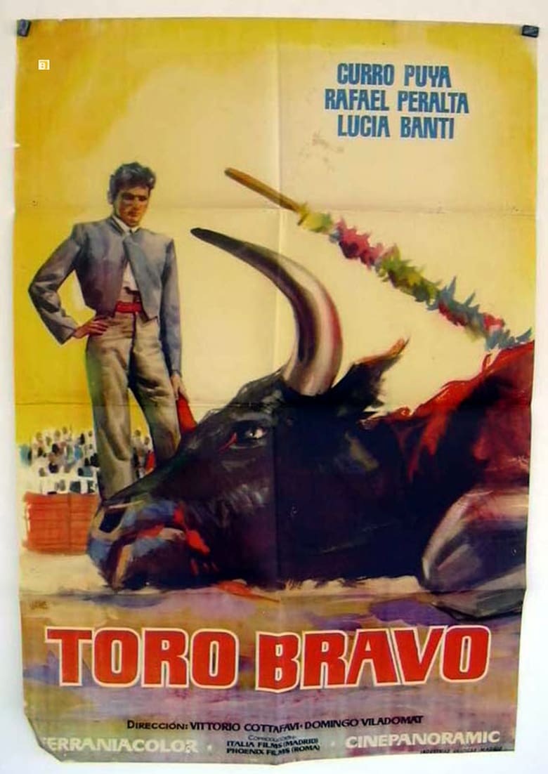 Poster of Toro bravo