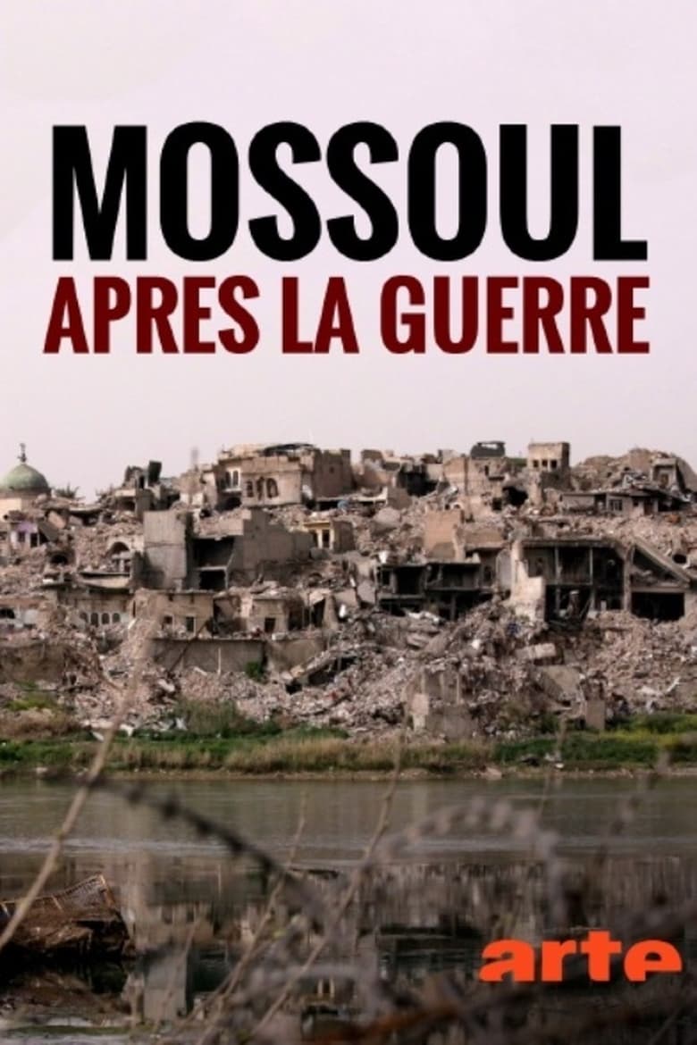 Poster of Mossoul, après la guerre