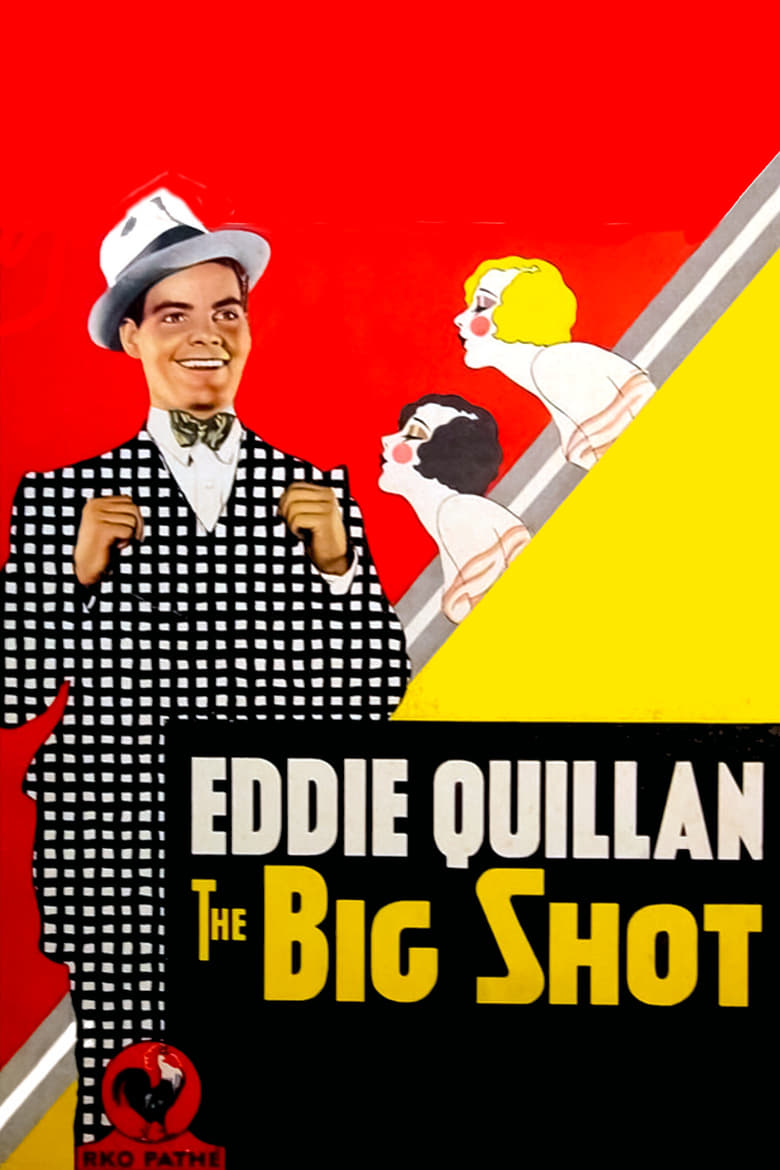 Poster of The Big Shot