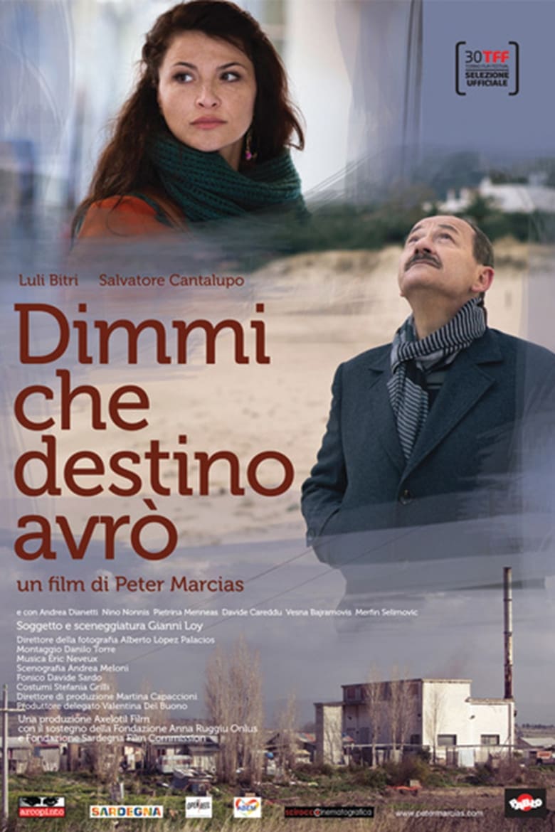 Poster of Dimmi che destino avrò