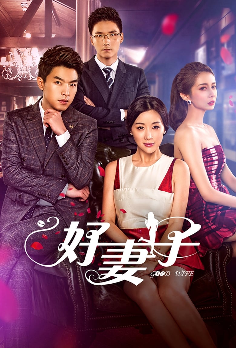 Poster of Good Wife