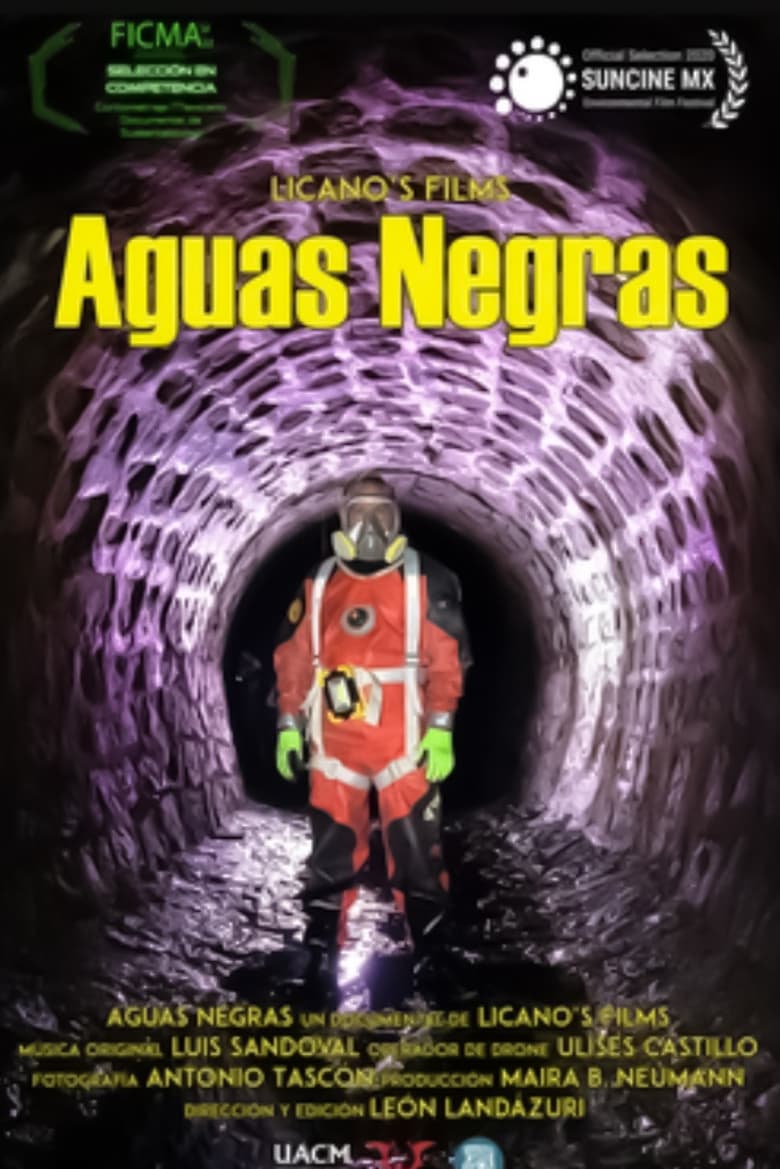 Poster of Aguas Negras